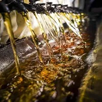 Dầu Tung đun sôi